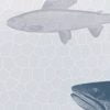 Stylish Blue Fish pattern on shower curtain