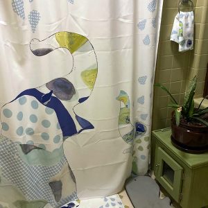 Made my son's bathroom so cute! Thank You