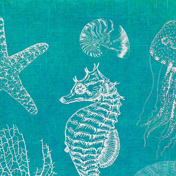 Ozscape Designs' Aqua Ocean Beach Shower Curtain