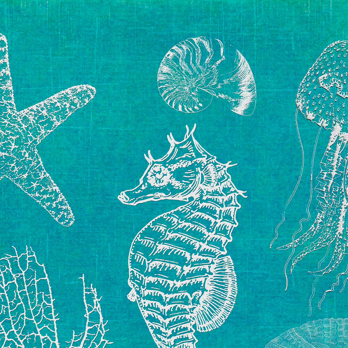 Ozscape Designs' Aqua Ocean Beach Shower Curtain