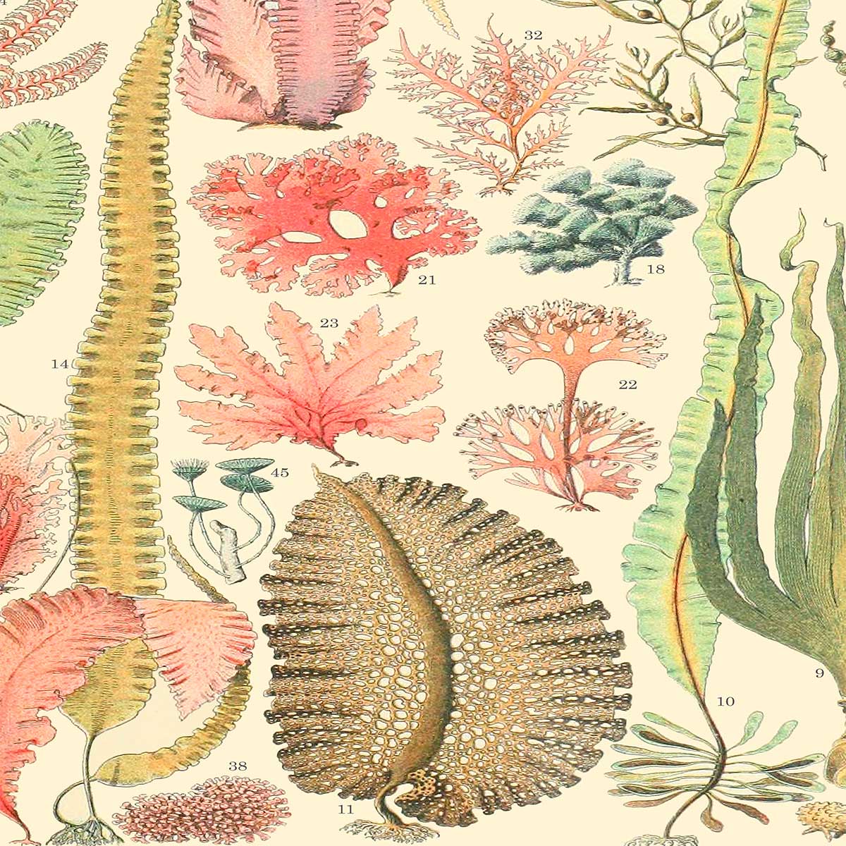 Close-up of textured Algae Bath Mat