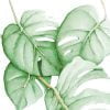 Green palm leaves shower curtain for a touch of nature in your bathroom