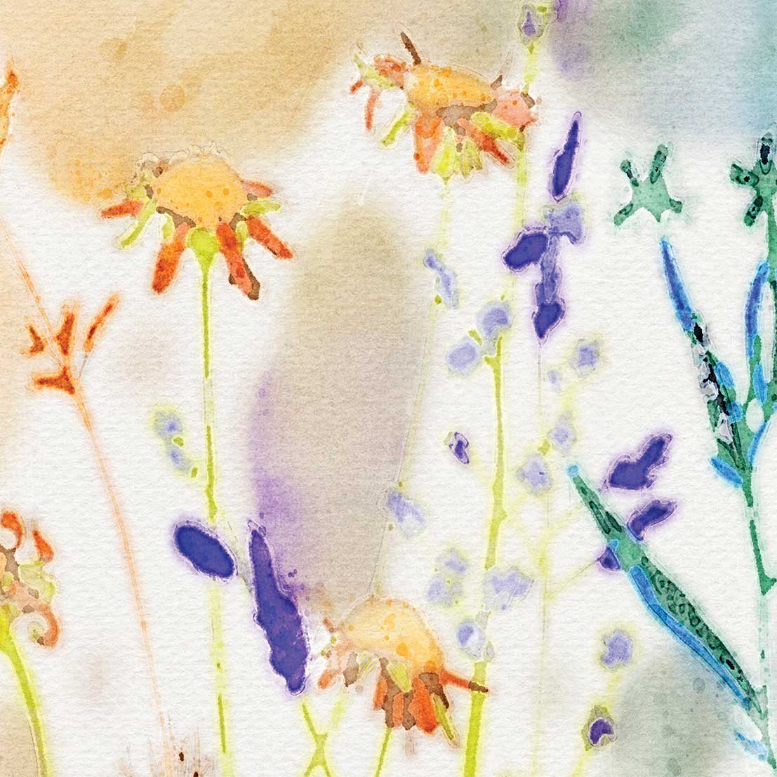 Close-up view of the vibrant colorful wildflower floral artwork patterned on the towels' velour fronts.