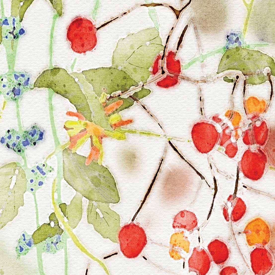 Close-up view of the vibrant colorful wildflower floral artwork patterned on the towels' velour fronts.