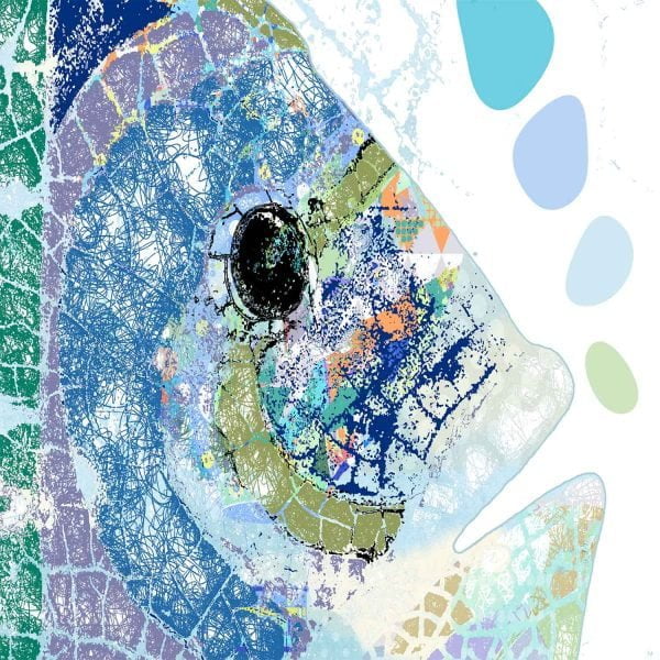 detail of blue fish shower curtain print