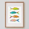 Colorful Fish Bathroom Wall Art